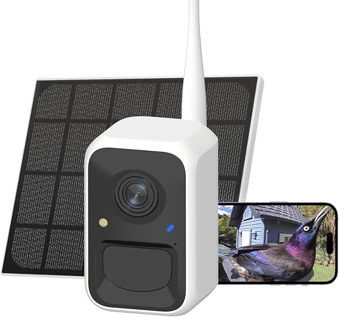 Birdfy mangeoire caméra solaire avec IA