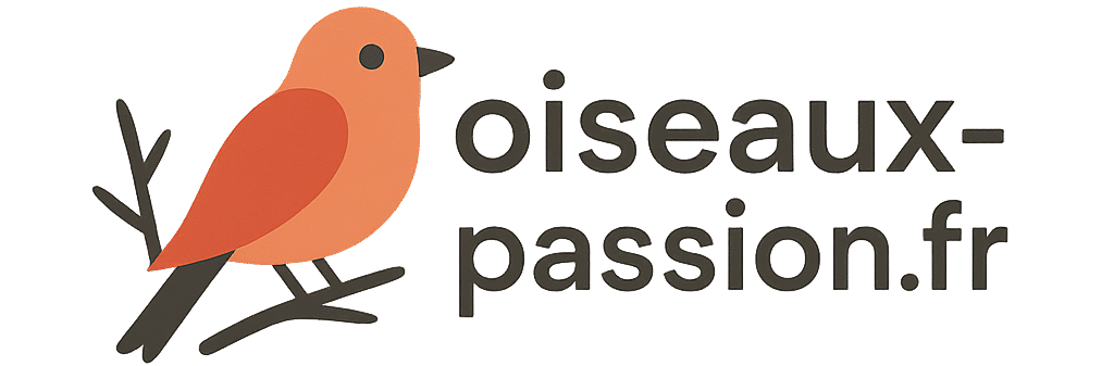 Passion Oiseaux